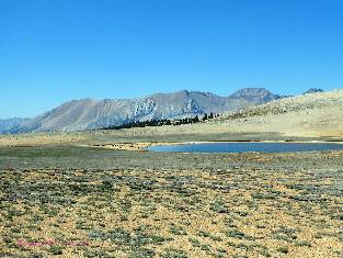 john-muir-trail-day4-6  Bighorn Plateau w.jpg (486312 bytes)